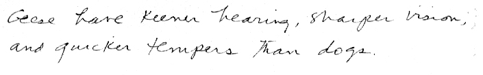 pg11txt.jpg (24376 bytes)