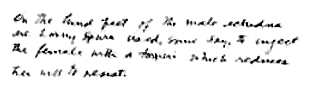 pg17txt.jpg (16164 bytes)