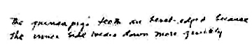 pg19txt.jpg (13365 bytes)
