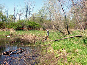 Back and Forth Pond
