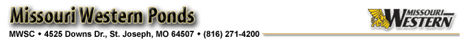 Missouri Western Ponds - MWSC - 4525 Downs Dr., St. Joseph, MO 64507 (816) 271-4200